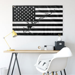 Lake Powell Black & White American Boat Flag Wall Art 