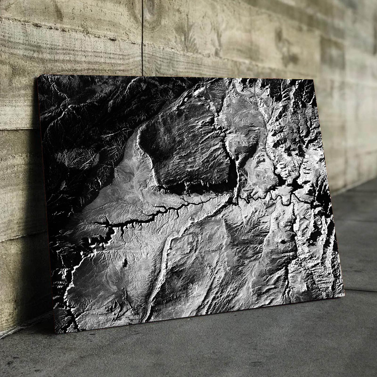 Lake Powell From Space | Monochrome 1 | Gallery Quality Canvas Wrap - Houseboat Kings