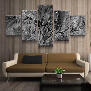 Lake Powell From Space | Monochrome 2 | Gallery Quality Canvas Wrap - Houseboat Kings