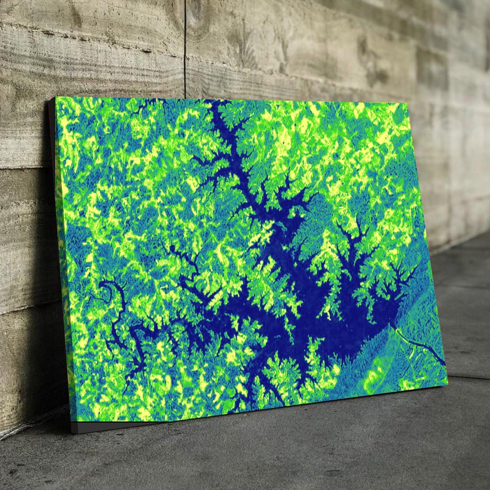 Smith Mountain Lake Art From Space | Artistic Green | Gallery Quality Canvas Wrap - Houseboat Kings