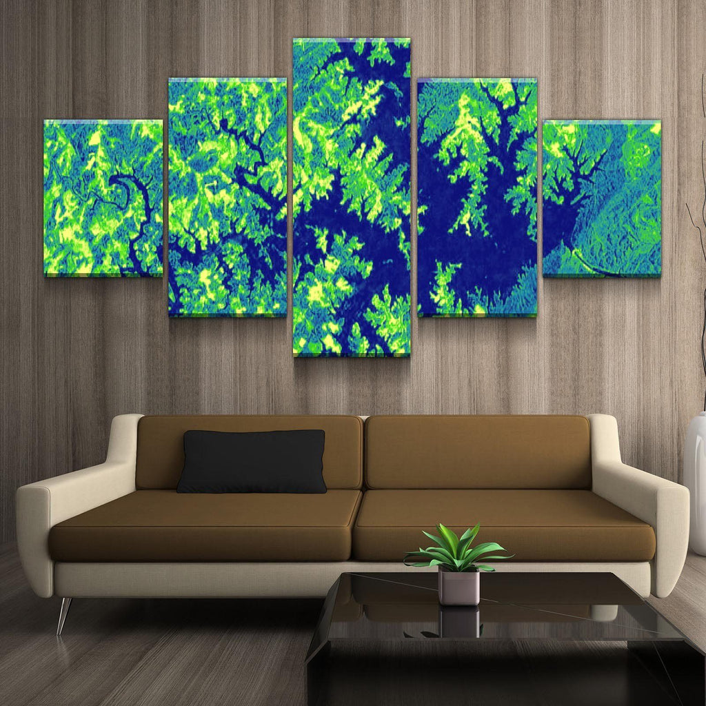 Smith Mountain Lake Art From Space | Artistic Green | Gallery Quality Canvas Wrap - Houseboat Kings