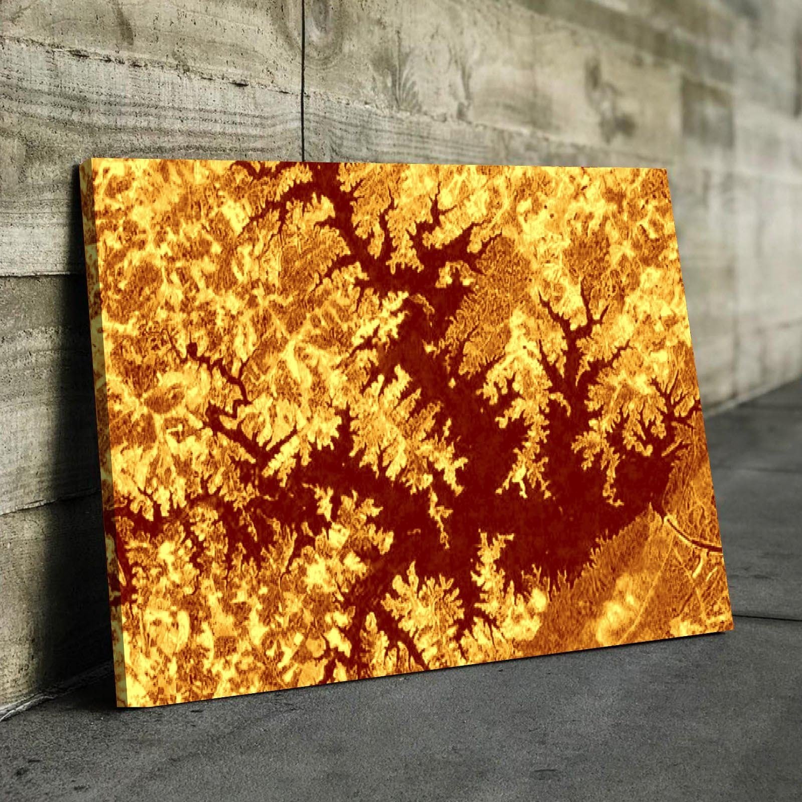 Smith Mountain Lake Art From Space | Stunning Gold | Gallery Quality Canvas Wrap - Houseboat Kings
